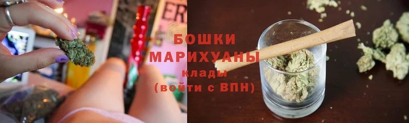 Марихуана конопля  как найти закладки  Зеленогорск 